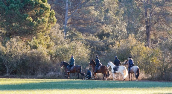 Sports dans la nature à Sant Cugat: équitation à Collserola 