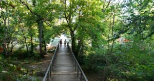 Parc del Torrent de Ferrussons