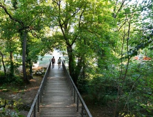 Propuesta para disfrutar del otoño en Sant Cugat