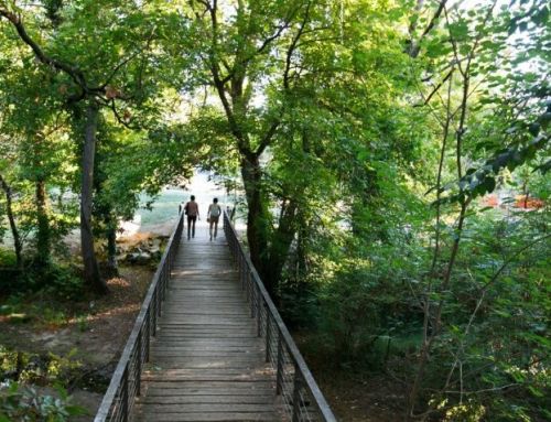 Proposta per gaudir de la tardor a Sant Cugat