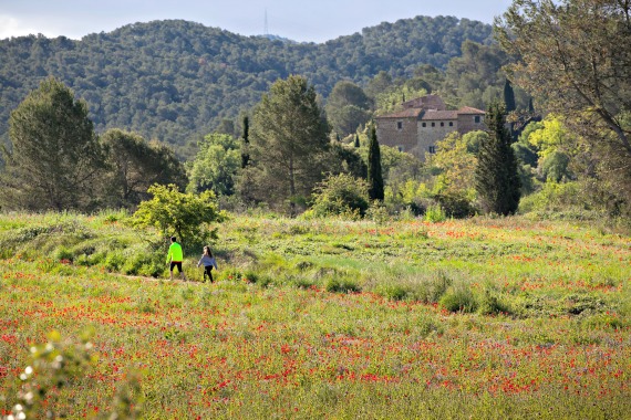 Parc naturel de Collserola, promenades