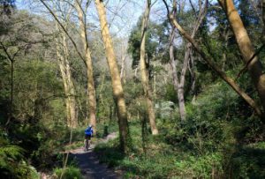 FOTO:MANE ESPINOSA.CAMI DE LA FONT GROGA FOTO:MANE ESPINOSA.CAMI DE LA FONT GROGA