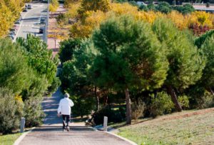 FOTO:MANÉ ESPINOSA. VISTA AÈRIA DEL PARC CENTRAL. FOTO:MANÉ ESPINOSA. VISTA AÈRIA DEL PARC CENTRAL