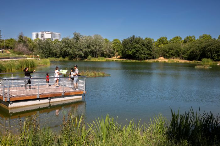 Persones al mirador de l'estany