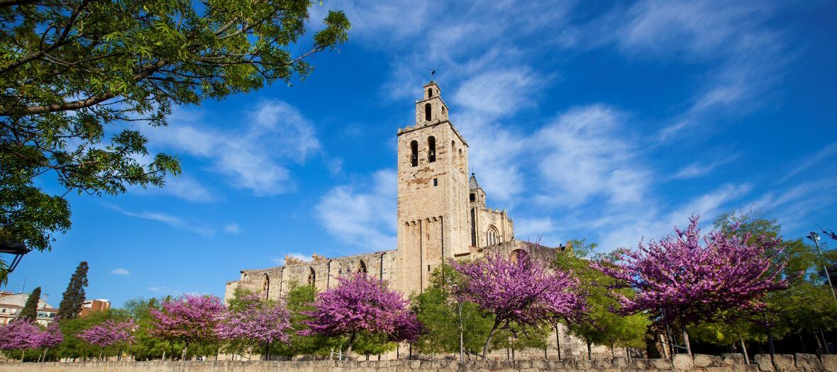 Jardins del Monestir i campanar del Monestir