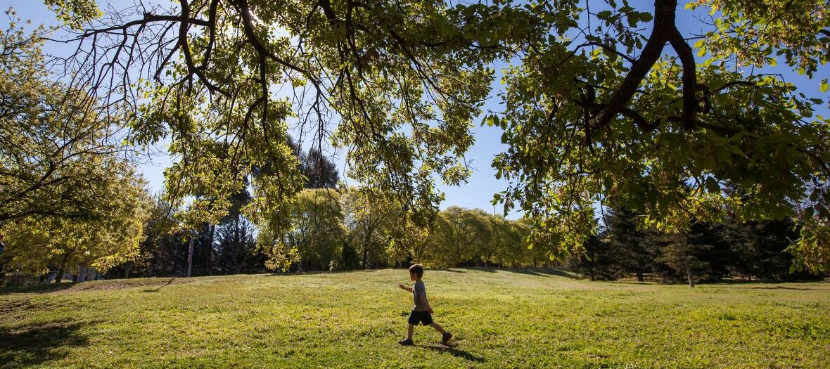 Nen caminant sota un arbre del Parc de l'Arborètum