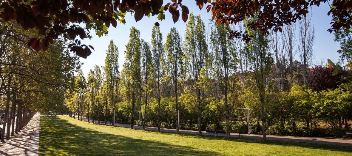 Passeig del Parc Central