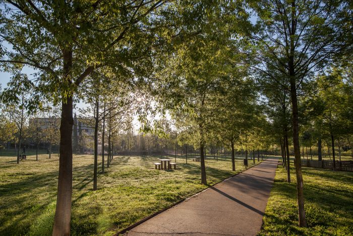 Parc Pollancreda