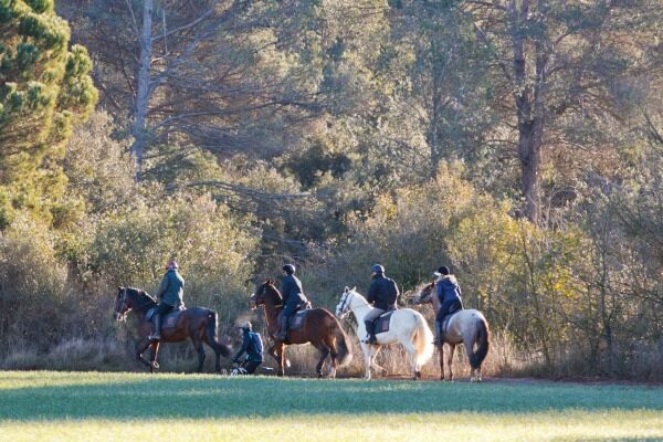 Randonnées à cheval à Sant Cugat à côté de Barcelone. Équitation Severino