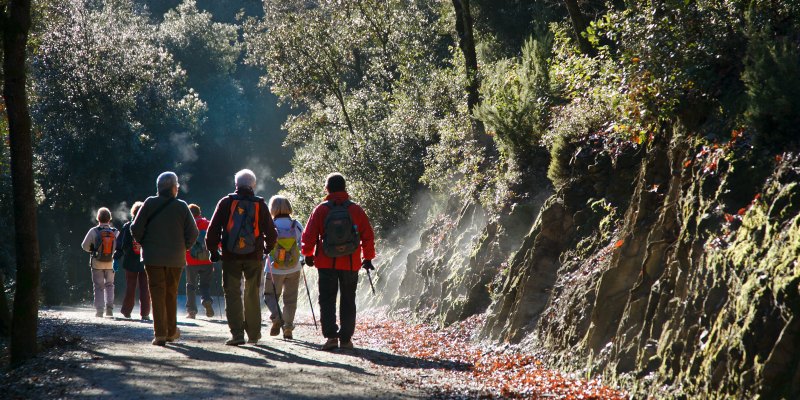 Rutas a pie Parque Natural de Collserola