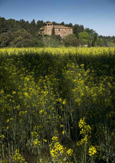 COLLSEROLA El Modernisme i Noucentisme