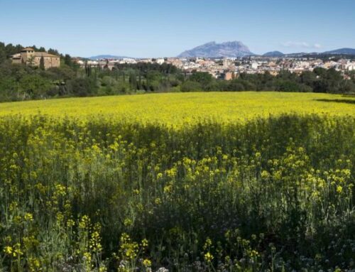 Los espacios verdes, los parques y la naturaleza en Sant Cugat