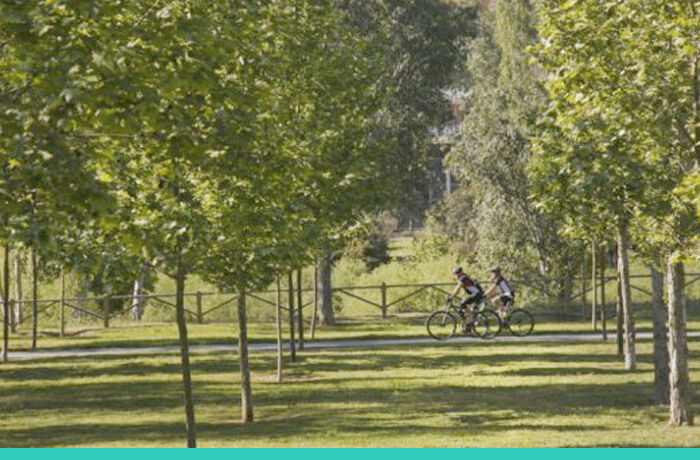 4 indrets verds Casa Museu – Cal Gerrer. Marilyn Monroe