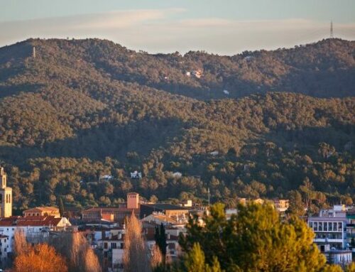 Why study in Sant Cugat?