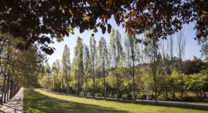 Parc central sant cugat
