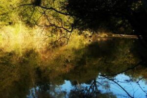 Pantà-de-Can-Borrell Pantano de Can Borrell