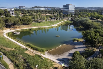 Estany de la Guinardera 