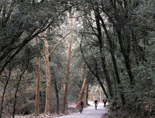 Què fer a Sant Cugat durant el pont de desembre