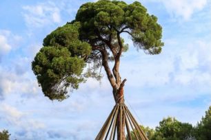 Parc natural de collserola rutes i itineraris