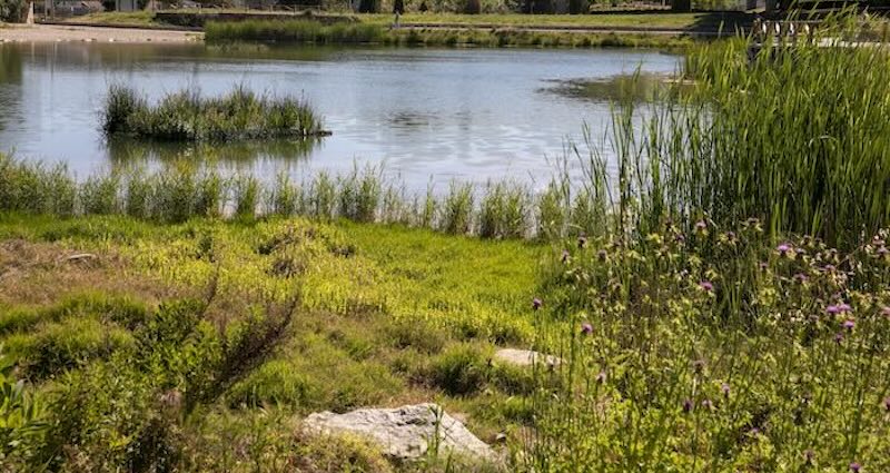 Estany de la Guinardera city of film