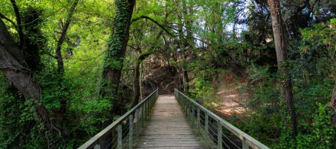 Pont del Torrent Ferrussons
