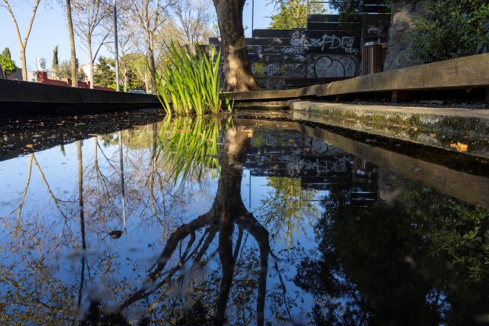 Fuente de Can Gatxet