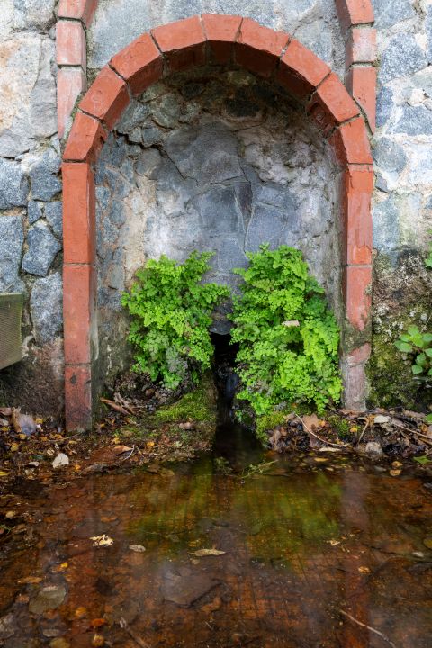 Fuente de Can Gatxet