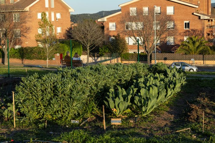 Horta Temerària Urbana