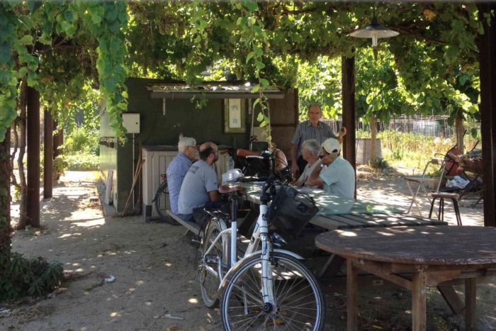 Hortolans reunits a l'hort de Can Mates