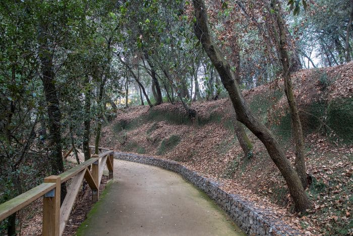 Camí asfaltat del bosc de Volpelleres
