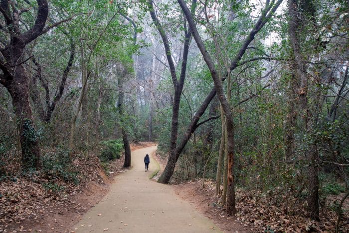 Dona caminant per un camí. Bosc Volpelleres