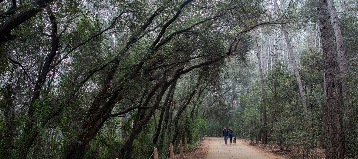 Bosc Volpelleres Parc Arborètum, dona asseguda a la gespa i nen jugant al seu voltant