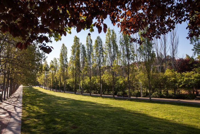 Passeig verd del Parc Central