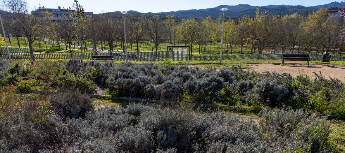 Vista del Parc Vallès Passeig ver de Can Cabassa
