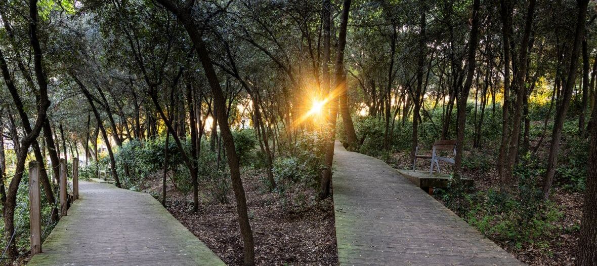 Pasarela de Can Gatxet durante la puesta de sol