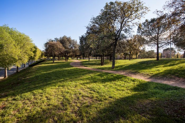 Zona verda de l'Arborètum, un camí a la dreta resseguit d'arbres