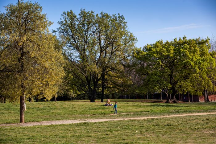 Parc Arborètum, dona asseguda a la gespa i nen jugant al seu voltant