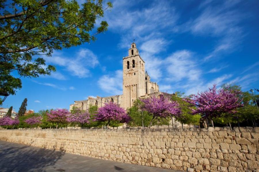 Monastery Garden and Monastery Bell Tower