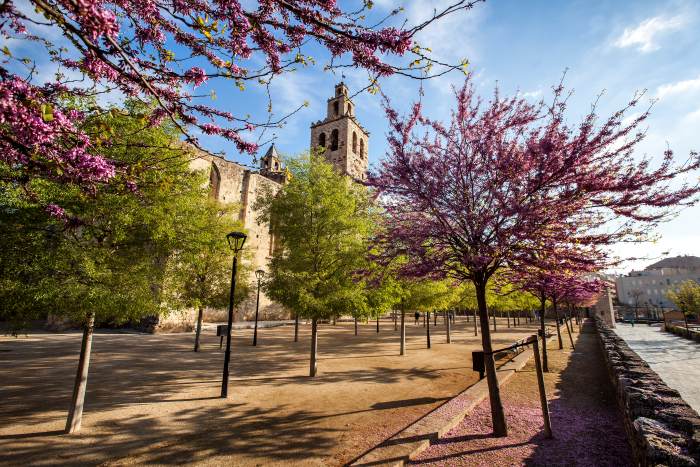 Jardines del Monasterio con el campanario de fondo