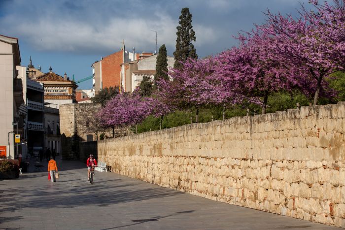 Una persona caminando y un ciclista pasando por los Jardines del Monasterio