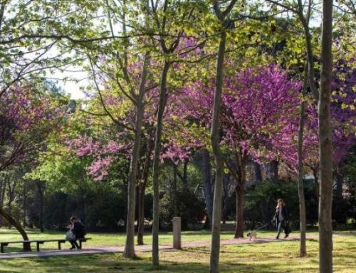 Un cap de setmana per descobrir la natura a Sant Cugat