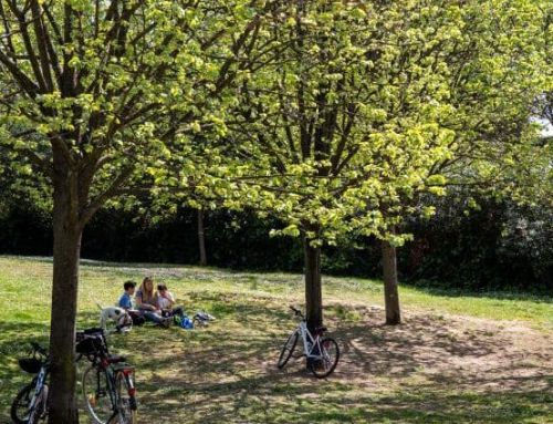 Los mejores rincones para refrescarte este verano