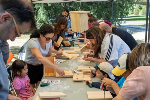 Famílies construint caixes niu Famílies construint caixes niu