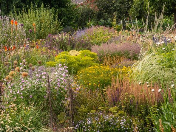 Illa de plantes Illa de plantes